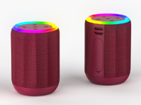 Portable Bluetooth Speaker with TWS, RGB Lighting & Dual 10W Speakers