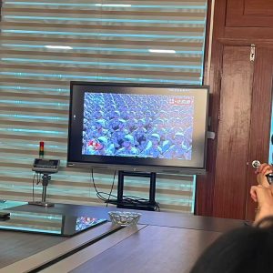 Watch the grand military parade on Victory Day, September 3rd，2025