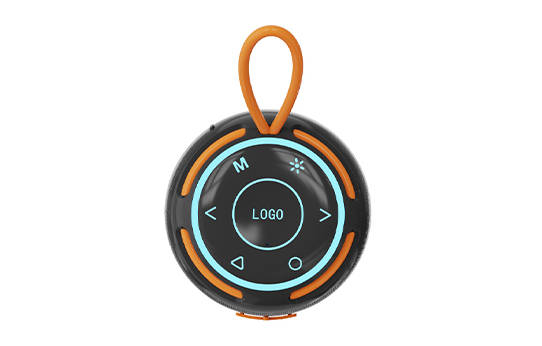 Buttons on the speaker's top