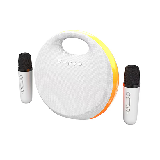 HZ-B359 | Karaoke Bluetooth Speaker with RGB Lighting